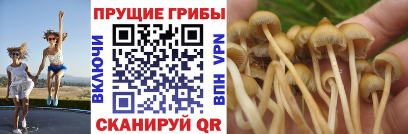 Псилоцибиновые грибы Magic Shrooms  Кизел 